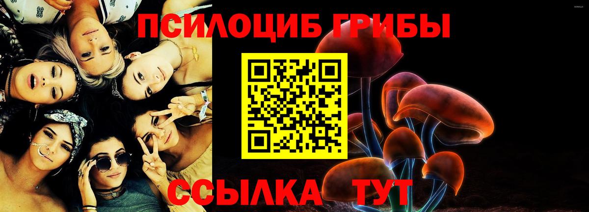 Галлюциногенные грибы мицелий  Вход с VPN  Дубна 
